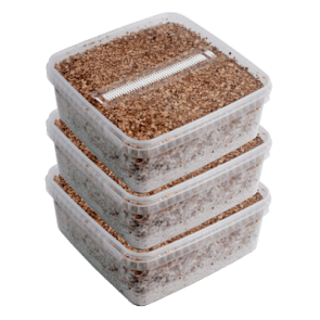 Magic Mushroom Grow Kits Combi Deal – 3 Pack